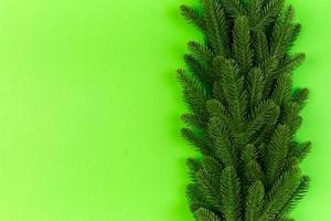 Top view of green fir tree branches on colorful background. New year holiday concept with empty space for your design photo