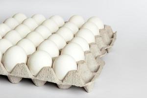 eggs in carton package on white background photo