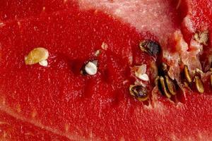 Unripe watermelon pink with black seeds photo