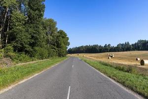 camino pavimentado a través del bosque foto