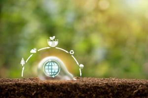 concept planting trees, saving world,protecting the environment ,alternative energy ,Green energy innovation and environmentally friendly energy technology,light bulb on the ground , nature background photo