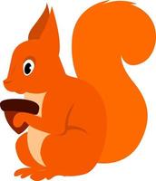 Red squirrel, illustration, vector on white background.