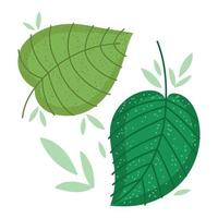 hojas naturaleza follaje botánico dibujos animados diseño vector