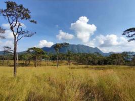Rural landscape with a path, trees and meadows on hills, blue sky and pleasant warm sunshine photo