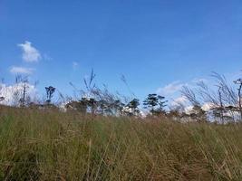 Rural landscape with a path, trees and meadows on hills, blue sky and pleasant warm sunshine photo