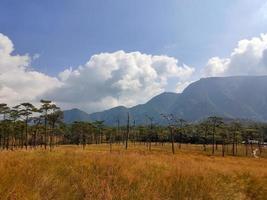 Rural landscape with a path, trees and meadows on hills, blue sky and pleasant warm sunshine photo