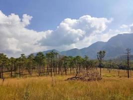 Rural landscape with a path, trees and meadows on hills, blue sky and pleasant warm sunshine photo