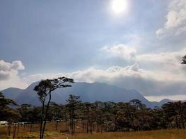 Mountain valley during sunrise. Natural summer landscape photo