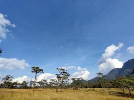 Rural landscape with a path, trees and meadows on hills, blue sky and pleasant warm sunshine photo