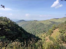 Mountain valley during sunrise. Natural summer landscape photo