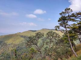 Mountain valley during sunrise. Natural summer landscape photo