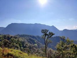 Mountain valley during sunrise. Natural summer landscape photo