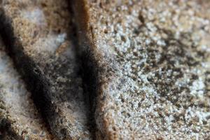 Black rye bread covered with black mold photo