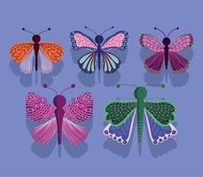 mariposas insectos alas decorativas dibujos animados, sombra sobre fondo púrpura vector
