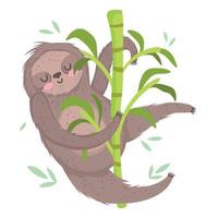 sloth in brach tree leaf foliage animal safari cartoon vector
