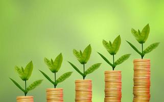 money saving concept tree growing on coin on nature blur background photo