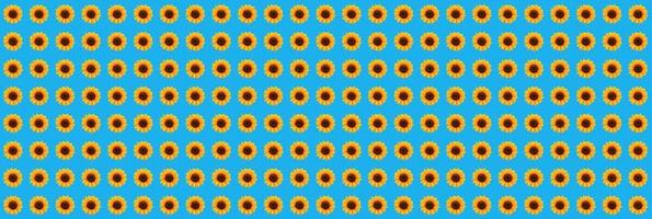 abstract sunflower pattern on blue background photo