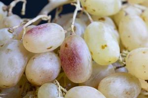 Green grapes unwashed lying on the board photo