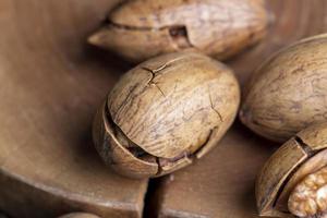 Pecan in a shell on the table photo