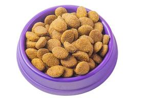 Dry food for pets. Balanced feeding for cats and dogs in a violet bowl. photo
