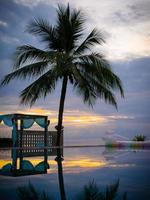 árbol de coco en el resort, puesta de sol tropical en Tailandia foto