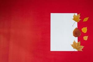 hoja de papel blanca cean para texto con hojas caídas de otoño sobre un fondo rojo. concepto de tarjeta de felicitación de otoño con espacio de copia foto