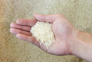 arroz en la mano foto