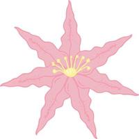 Simple lily icon isolated on white background. Vector art