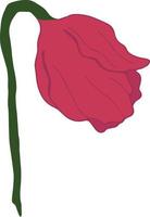 Hand drawn vector illustration of red flower isolated on white background