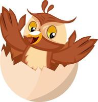 Owl in egg shell, illustration, vector on white background.