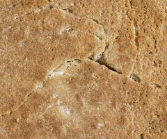 Sweet large sized shortbread cookies with cinnamon flavor photo