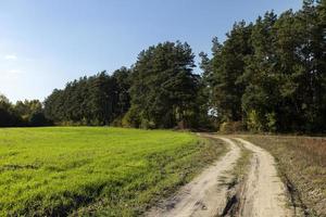 A rural road without asphalt in the autumn season photo