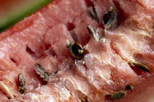 Unripe watermelon pink with black seeds photo