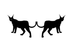 par de la silueta de gato caracal para logotipo, pictograma, sitio web o elemento de diseño gráfico. ilustración vectorial vector