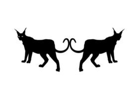 Pair of the Caracal Cat Silhouette for Logo, Pictogram, Website or Graphic Design Element. Vector Illustration