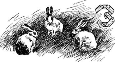 Three Rabbits, vintage illustration vector