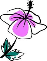 Hibiscus drawing, illustration, vector on white background.