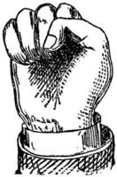 imagen de puño, grabado antiguo. vector