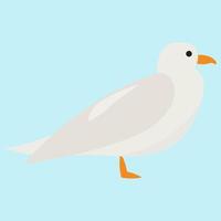 White seagull, illustration, vector on white background.