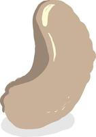 Flat nut, illustration, vector on white background.