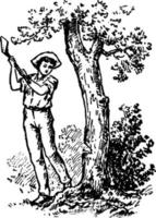 hombre talando un árbol, ilustración vintage vector