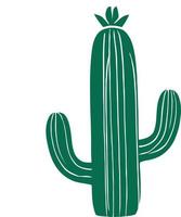 Green Cactus Illustration vector