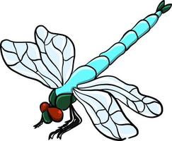 Blue dragonfly , illustration, vector on white background