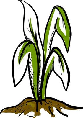 Big plant in earth, illustration, vector on white background.