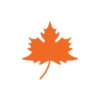 Maple leaf vector illustration