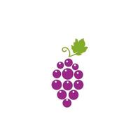 Grapes vector icon illustration design