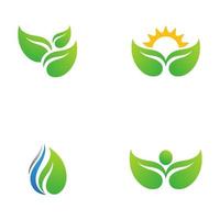 logotipos de la ecología de la hoja del árbol verde vector