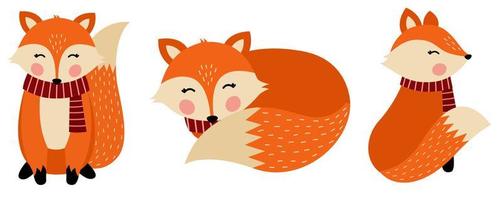 Orange Fox Vector Illustration Set. Autumn Fox wearing Scraft. Adorable Animal.