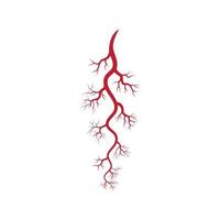 Human veins and arteries illustration vector