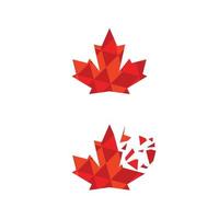 Maple leaf vector illustration